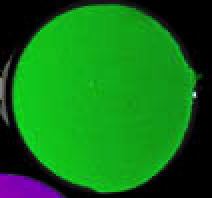 (image for) UV Flourescent Green paint, 8 fl.oz.