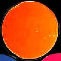 (image for) UV Flourescent Orange paint, 8 fl.oz.